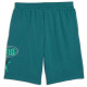 Puma Ανδρικό σορτς Essentials Logo Lab Story 1 10'' Shorts